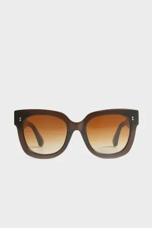 08 Brown Sunglasses