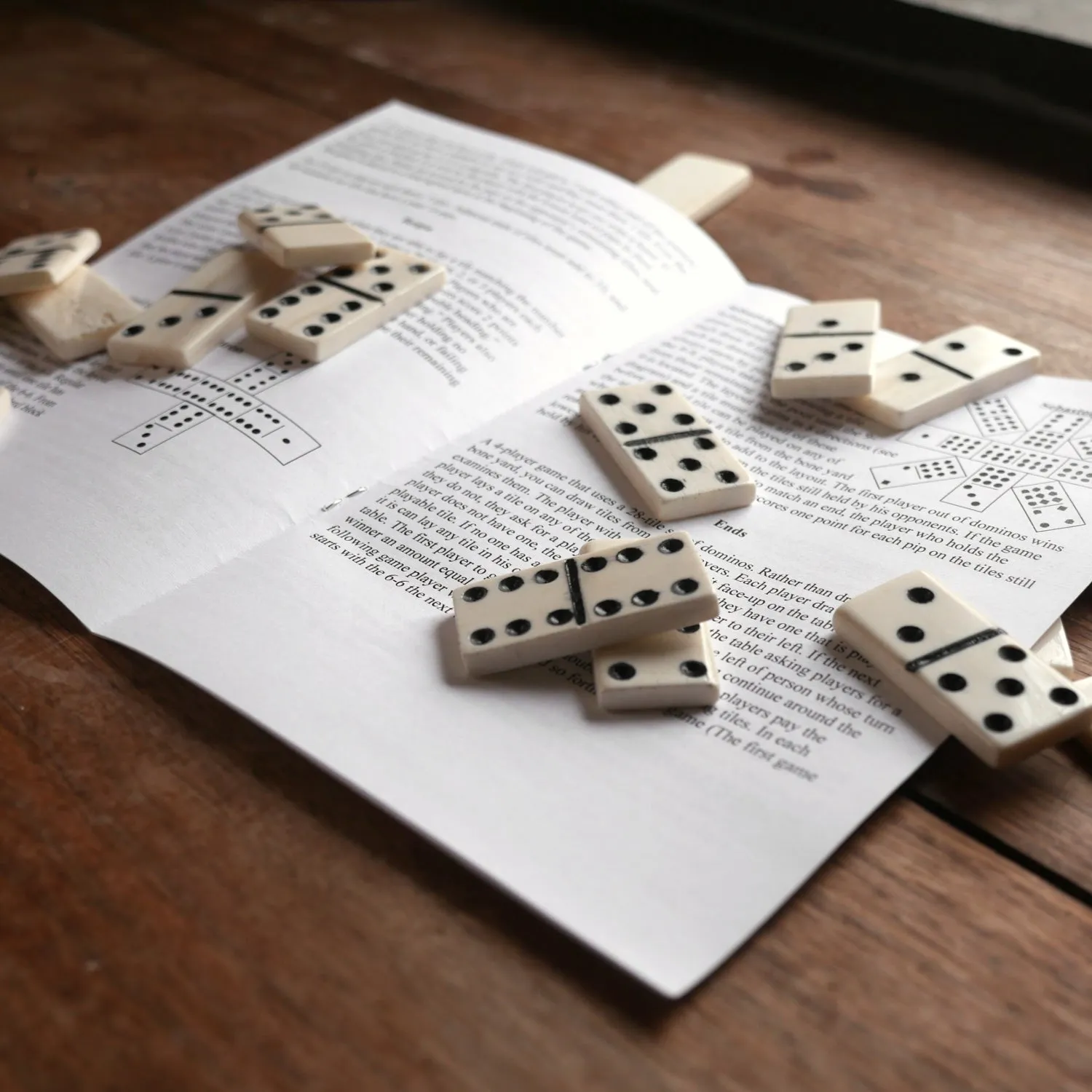 Bone Dominoes