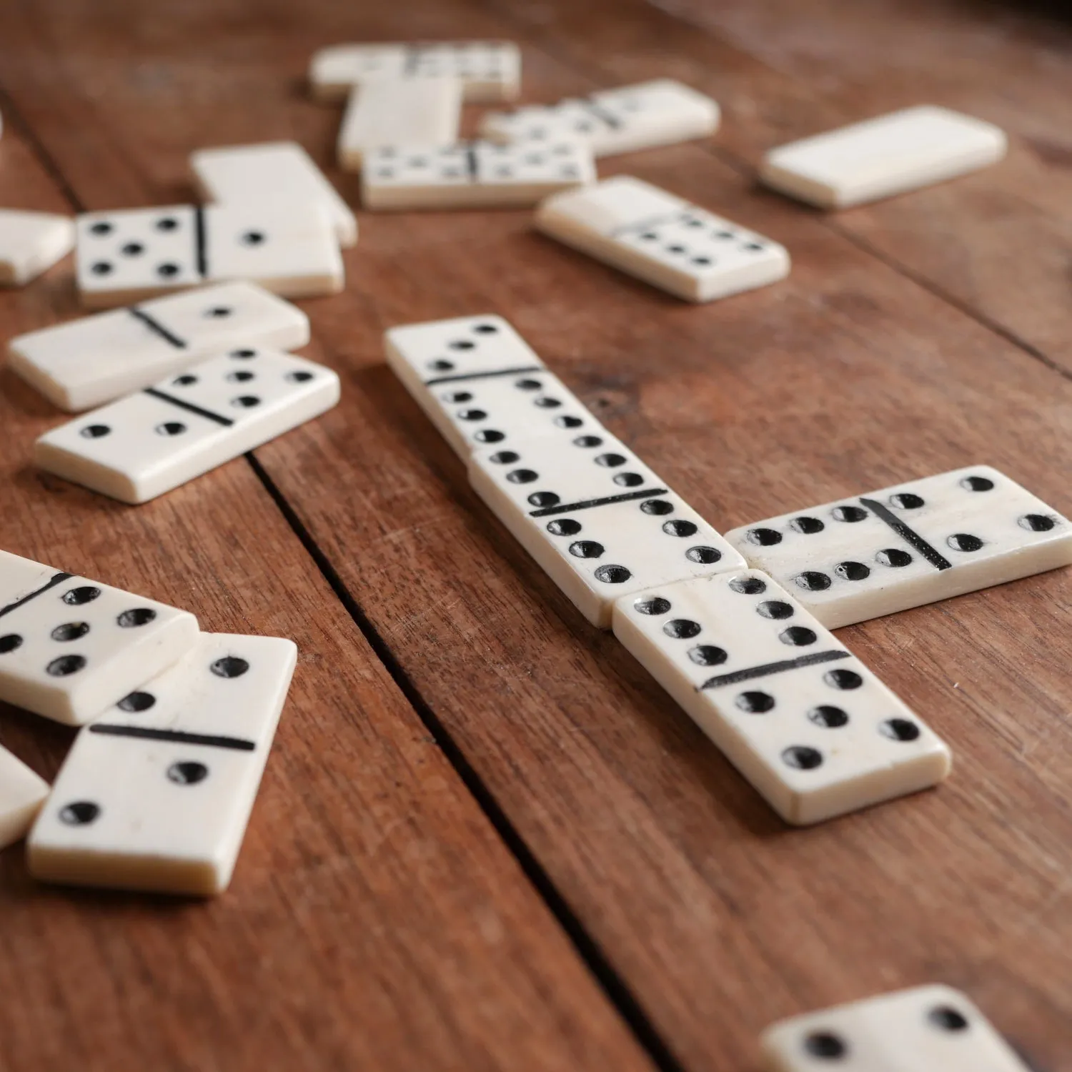 Bone Dominoes