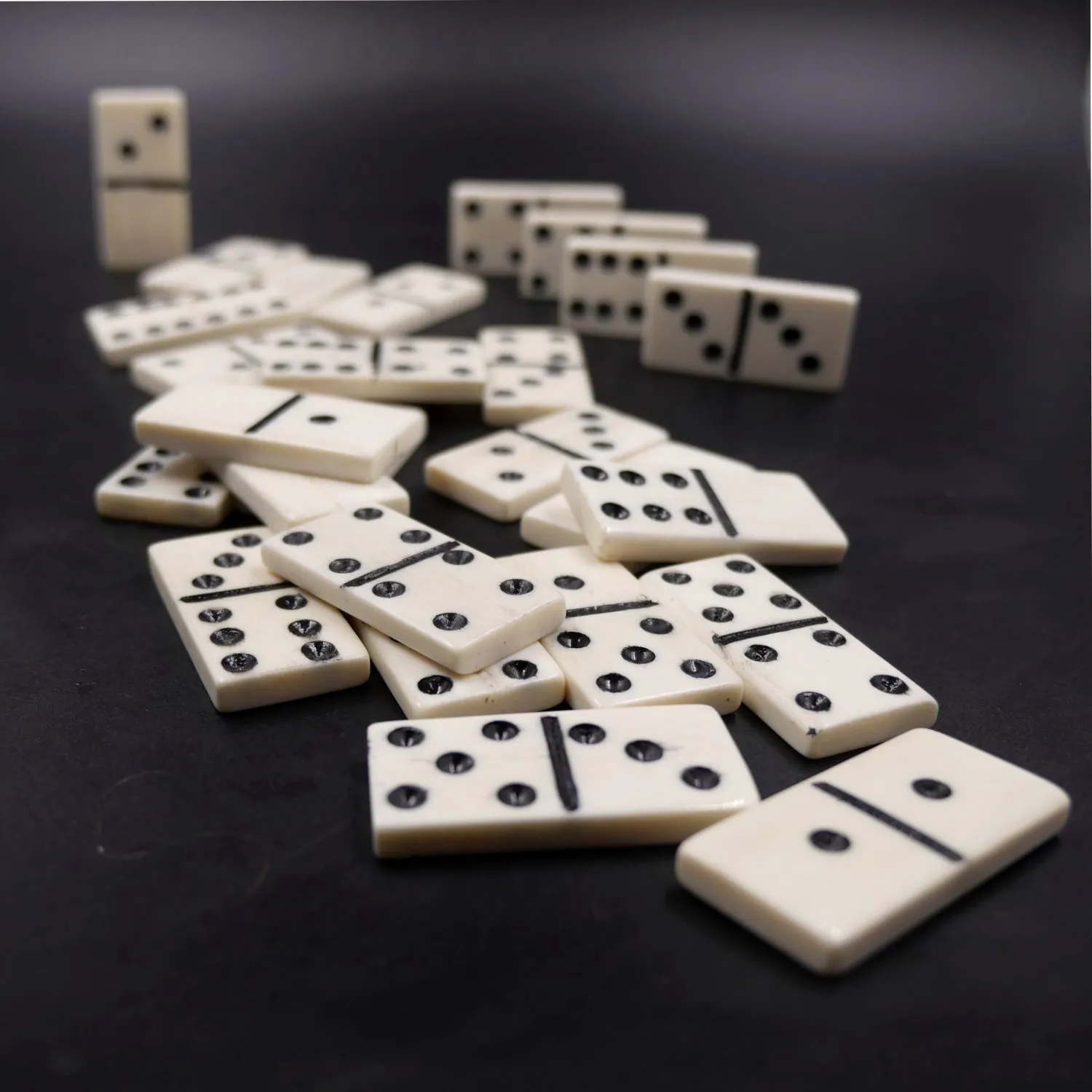 Bone Dominoes