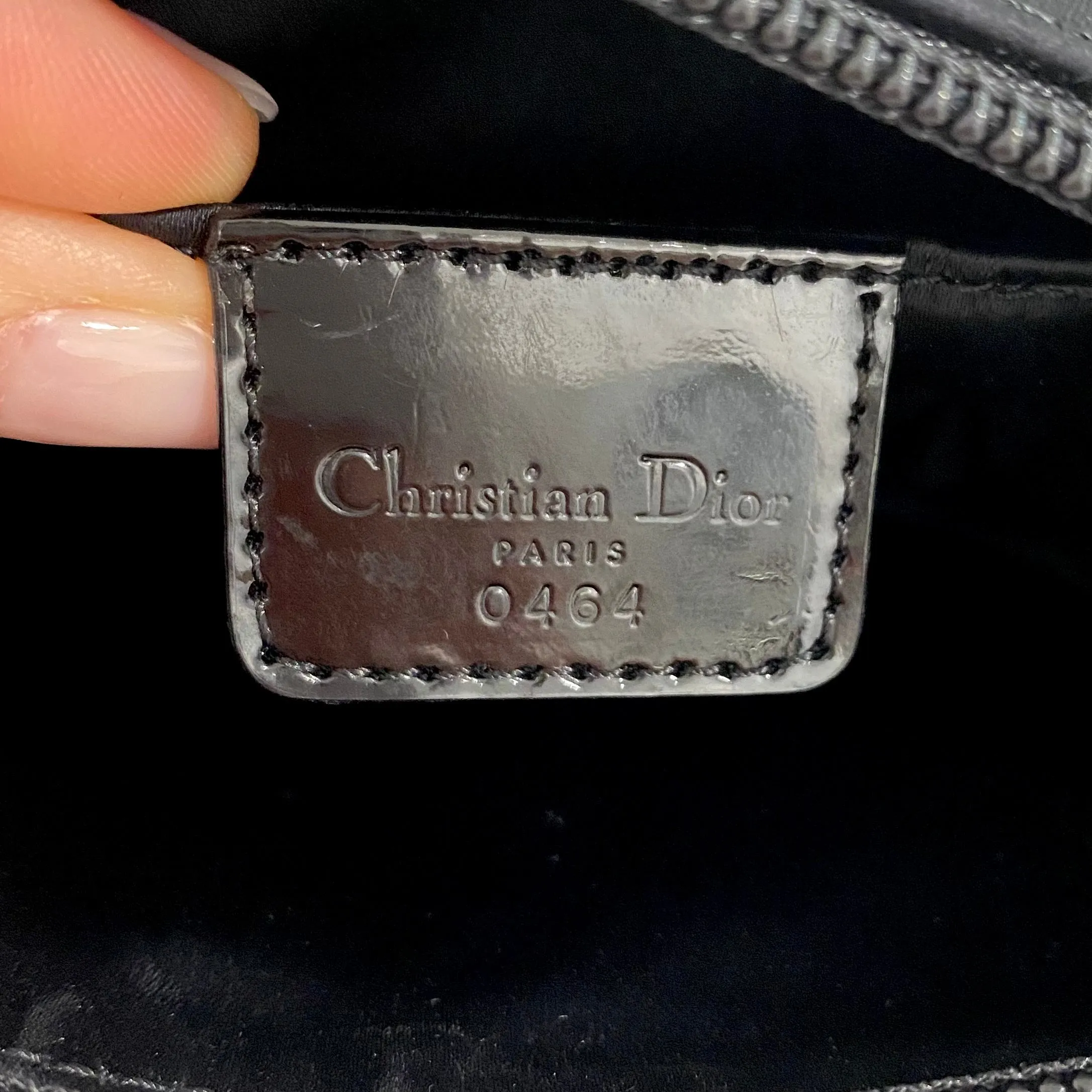 Christian Dior Koi Mini Saddle Bag