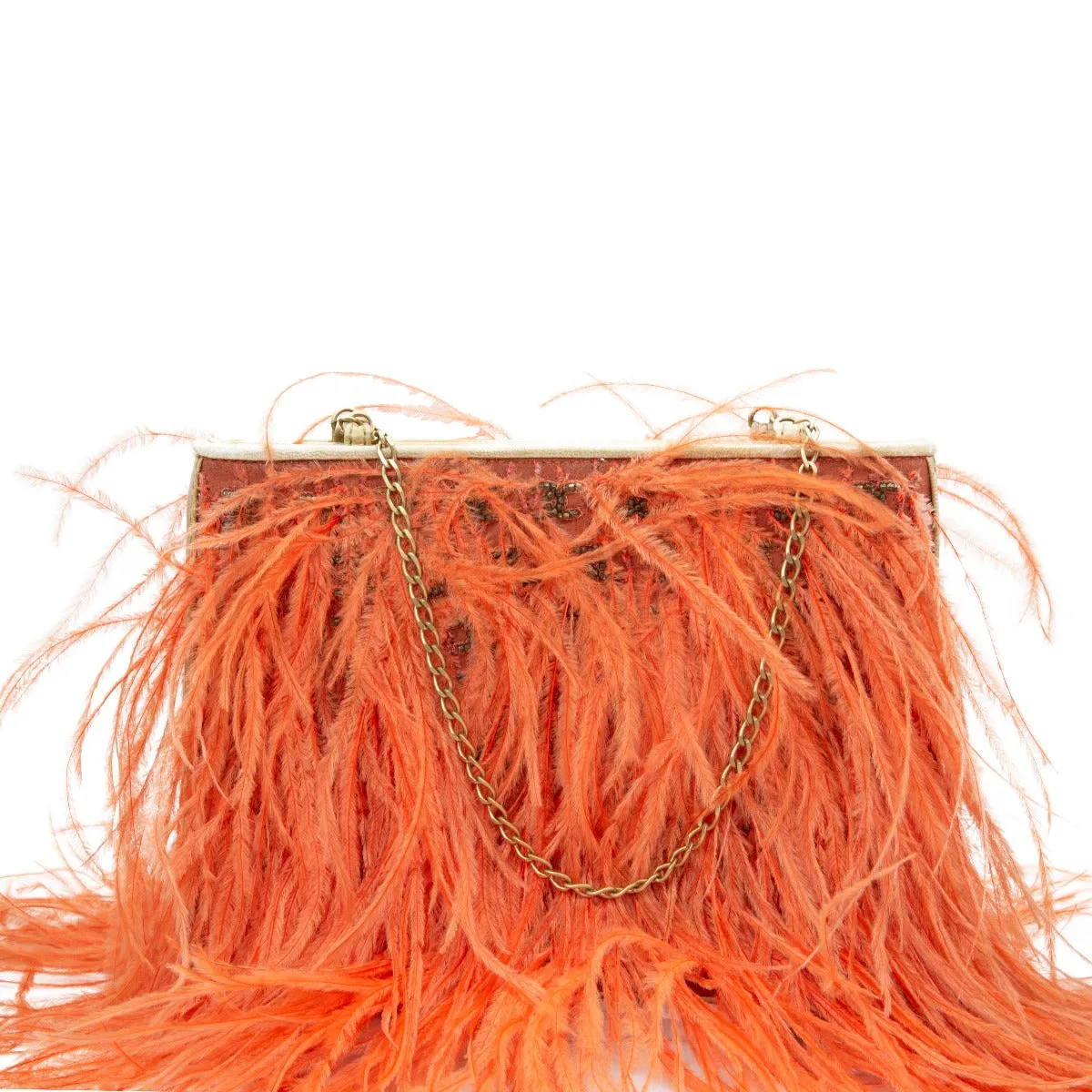 Feather Embellished Clutch Bag