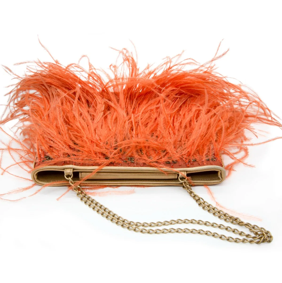 Feather Embellished Clutch Bag